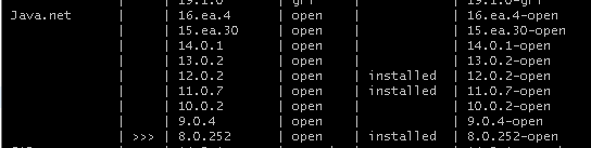 Nueva versión de Jdk en Sdkman